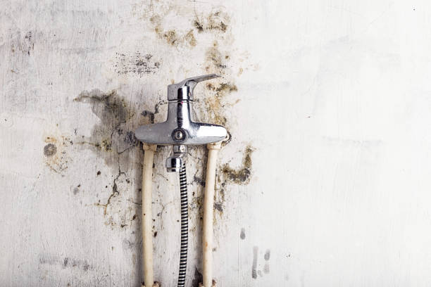 Best Emergency Mold Removal  in Hastings, NE