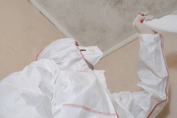 Mold Testing and Removal in Hastings, NE
