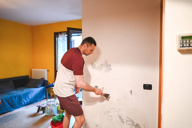 Best Black Mold Removal  in Hastings, NE